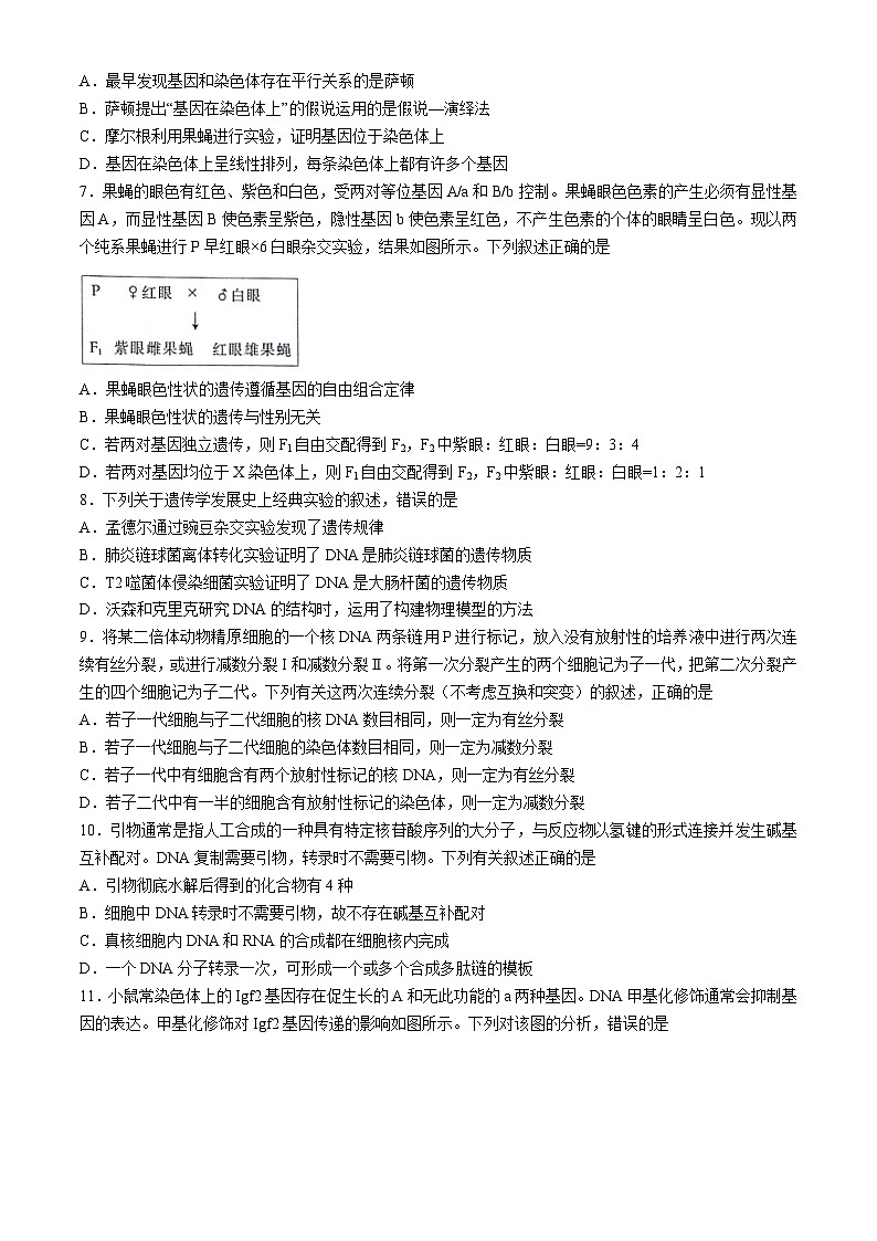 甘肃省白银市靖远县第四中学2023-2024学年高一下学期7月期末模拟生物试题第2页