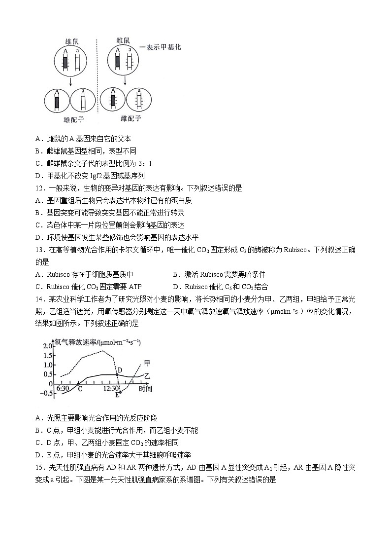 甘肃省白银市靖远县第四中学2023-2024学年高一下学期7月期末模拟生物试题第3页