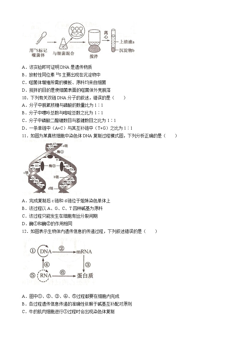 甘肃省庆阳市华池县第一中学2023-2024学年高一下学期7月期末生物试题03