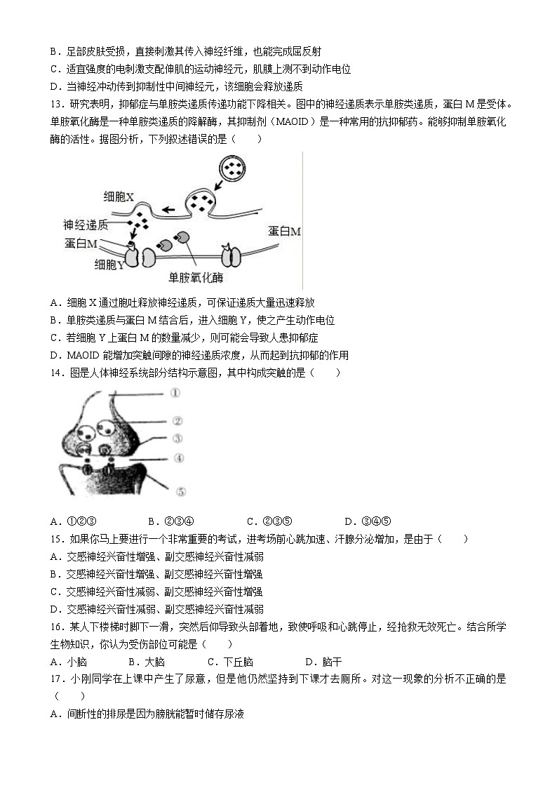 湖北省十堰市天河英才高中2022-2023学年高二上学期期中考试生物试题第3页
