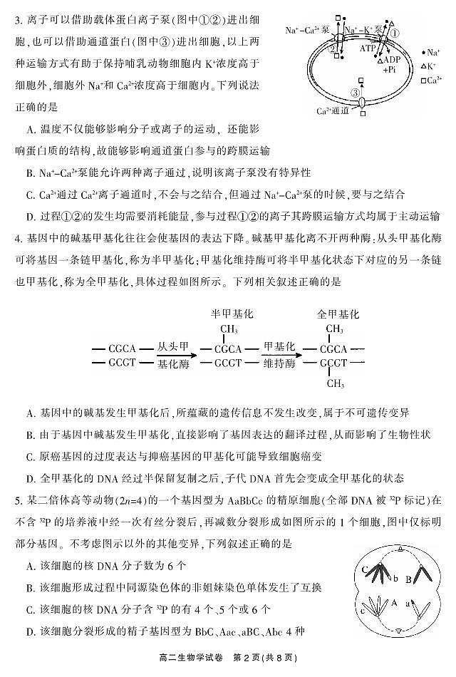 湖南省郴州市2023-2024学年高二下学期期末考试生物试题02
