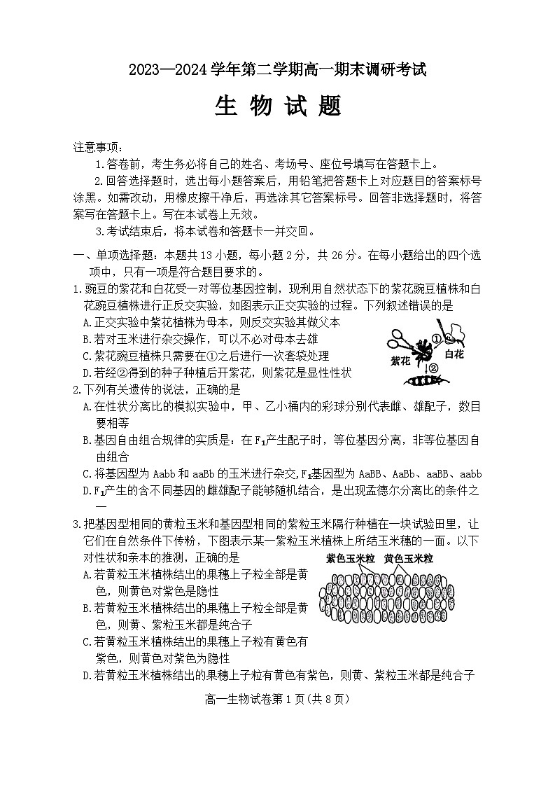 河北省保定市2023-2024学年高一下学期期末调研考试生物试题（Word版附答案）01