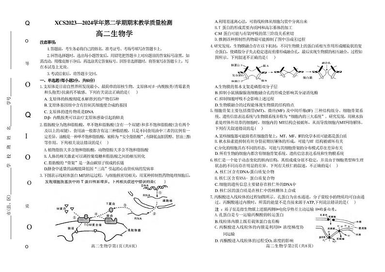 生物丨河南省许昌市2025届高三7月期末教学质量检测生物试卷及答案01