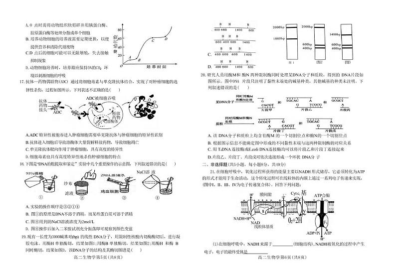 生物丨河南省许昌市2025届高三7月期末教学质量检测生物试卷及答案03
