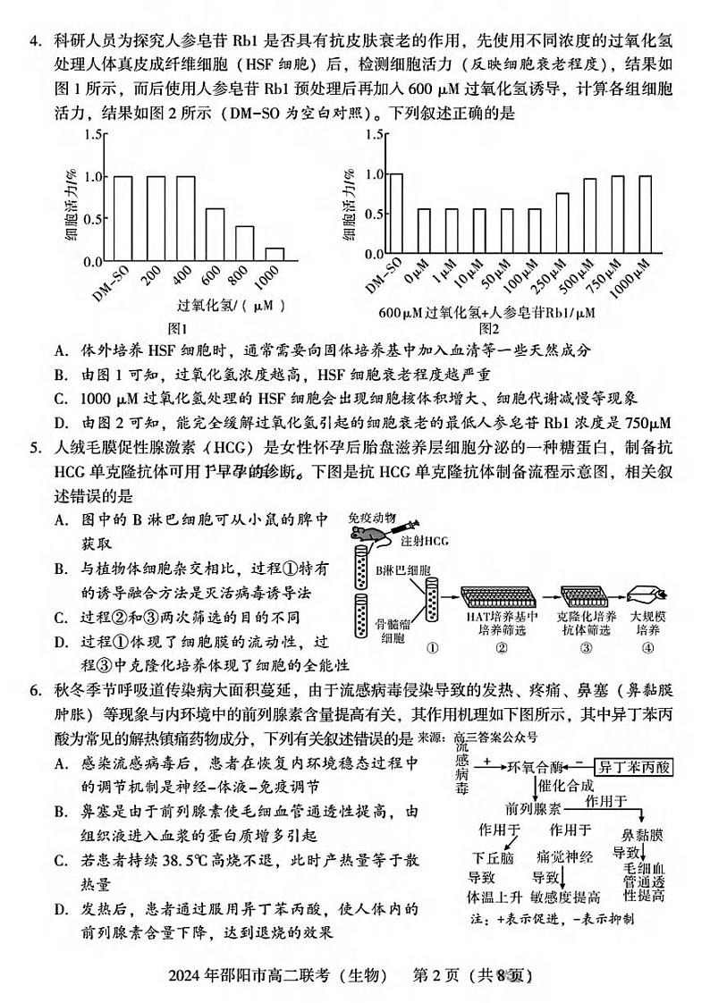 生物丨湖南省邵阳市2025届高三7月期末联考生物试卷及答案第2页