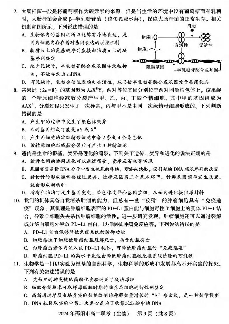 生物丨湖南省邵阳市2025届高三7月期末联考生物试卷及答案第3页