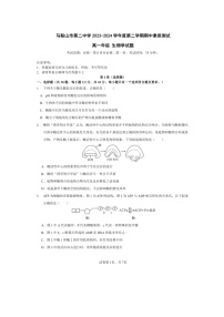 安徽省马鞍山市第二中学2023-2024学年高一下学期期中素质测试生物试题