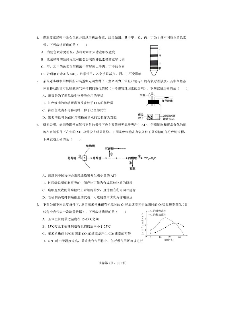 安徽省马鞍山市第二中学2023-2024学年高一下学期期中素质测试生物试题第2页