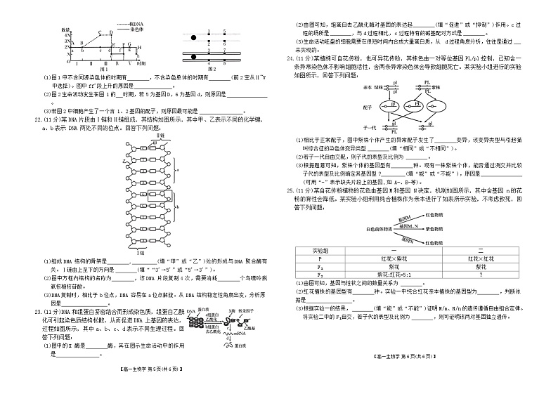 河南省新乡市2023-2024学年高一下学期期末考试生物试题03