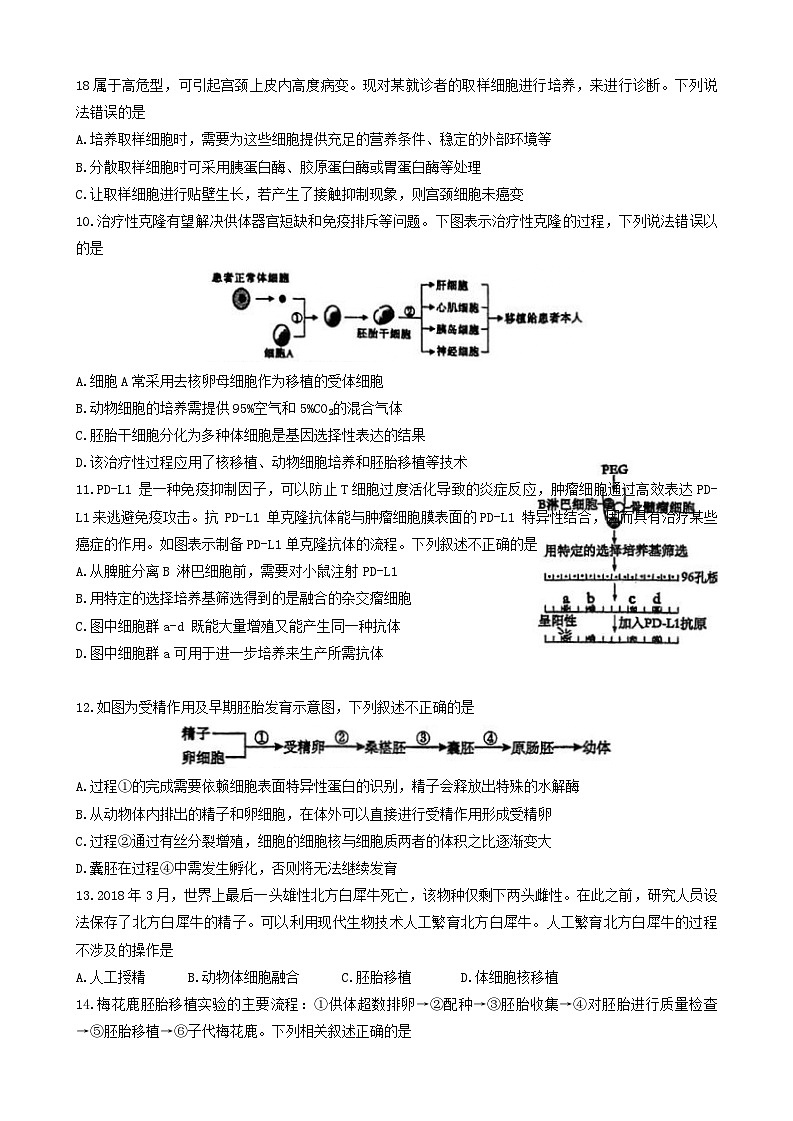 黑龙江省哈师大附中和大庆铁人中学2023—2024学年高二下学期期末联考生物试题03