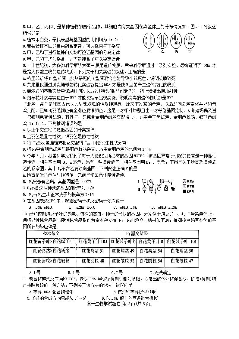 四川省绵阳市2023-2024学年高一下学期期末考试生物试题02