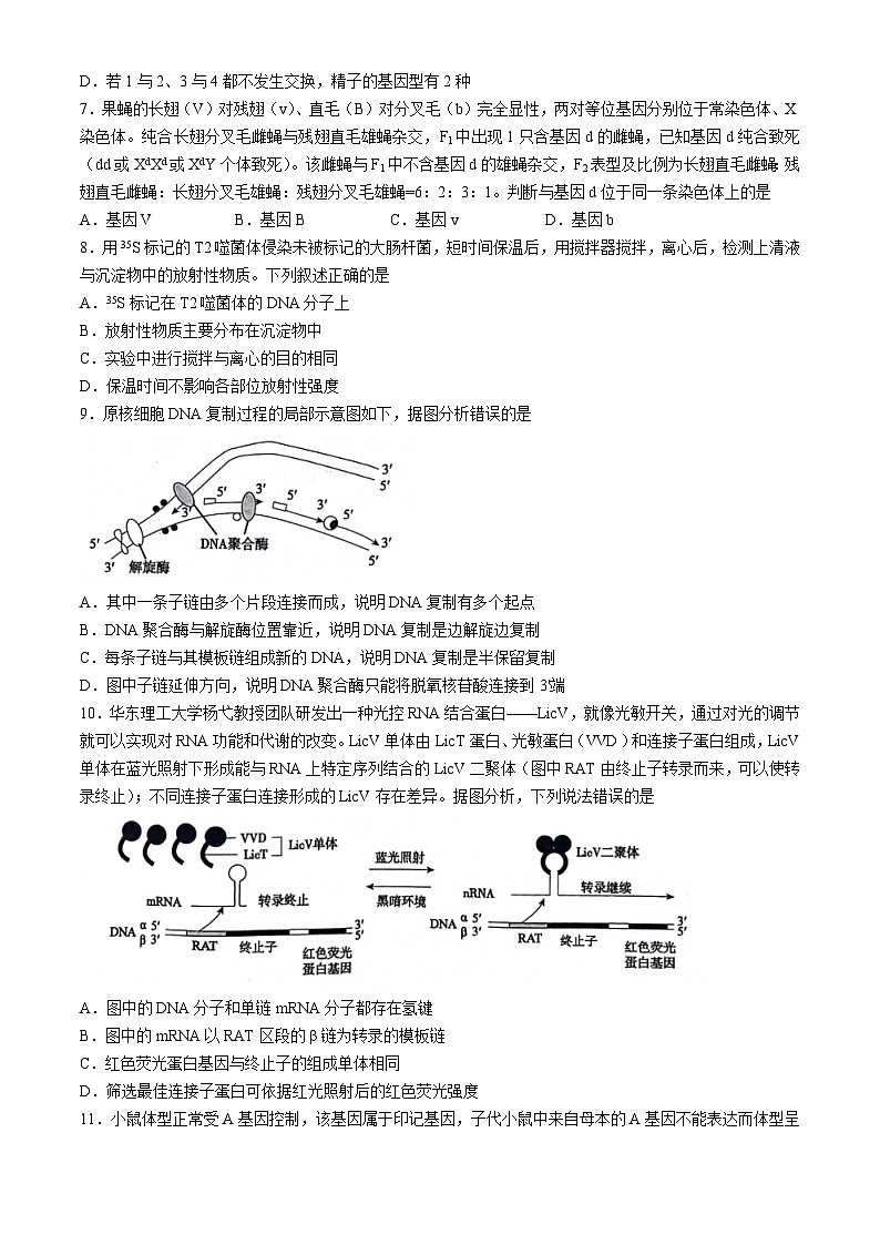 安徽省铜陵市等三市2023-2024学年高一下学期期末统考生物试题03