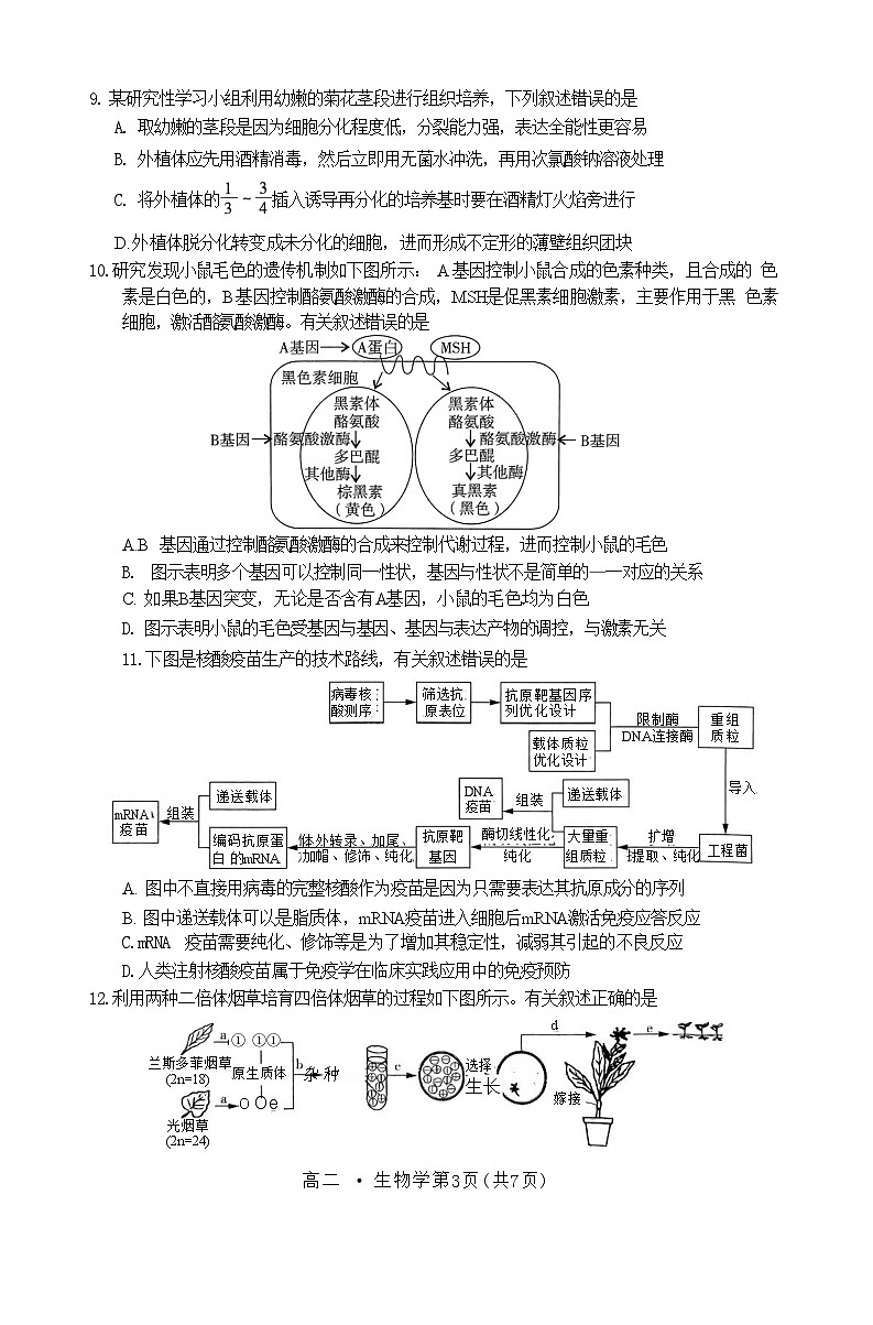 广东省揭阳市2023-2024学年高二下学期7月期末生物试题第3页