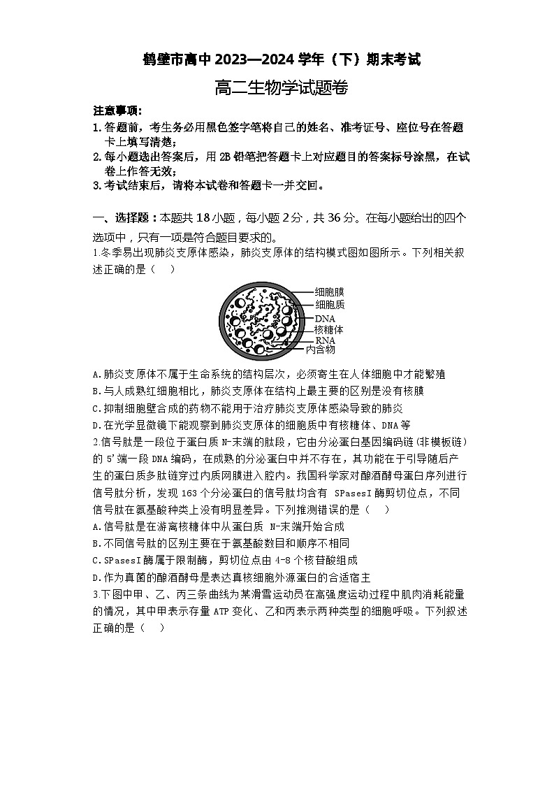 河南省鹤壁市高中2023-2024学年高二下学期期末考试生物试题01