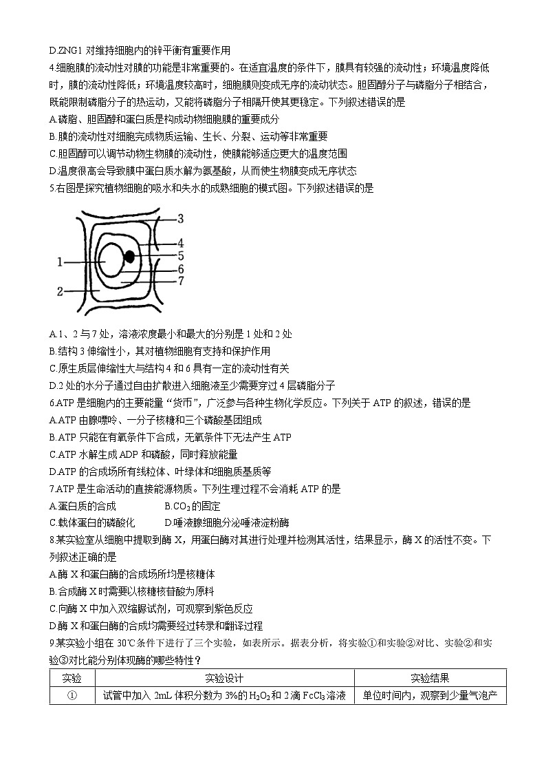 河北省承德市2023-2024学年高二下学期期末考试生物试卷（Word版附答案）02