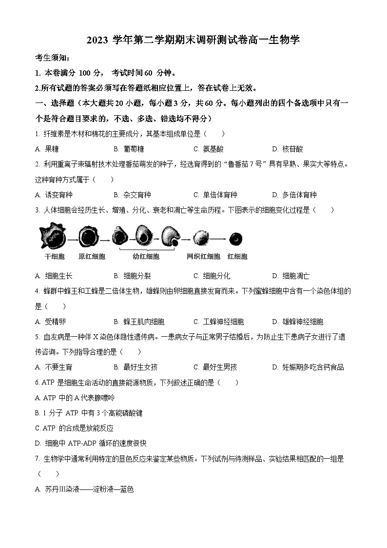 浙江省湖州市2023-2024学年高一下学期6月期末考试生物试卷（Word版附解析）01
