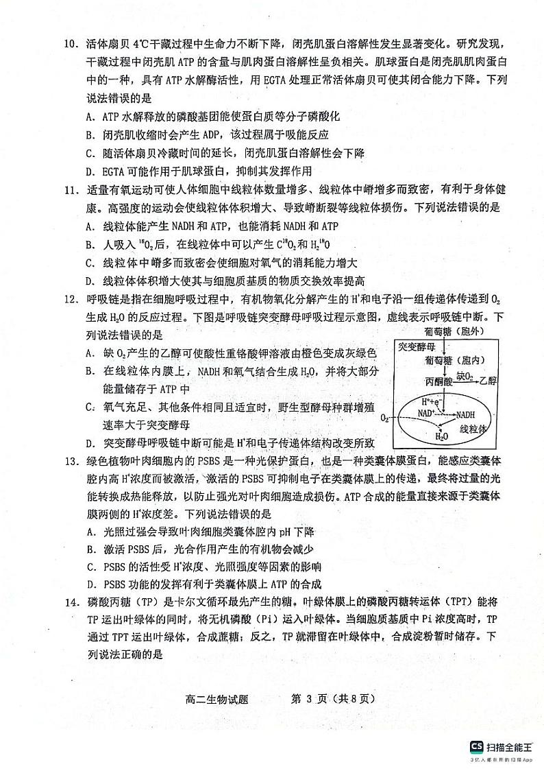 山东省烟台市2023-2024学年高二下学期7月期末生物试题03