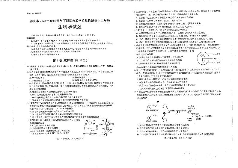 四川省雅安市2023-2024学年高二下学期期末考试生物试题第1页