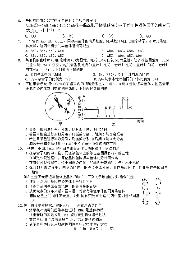 广东省中山市2023-2024学年高一下学期期末统考生物试卷02