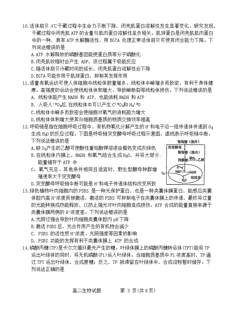山东省烟台市2023-2024学年高二下学期7月期末生物试题03