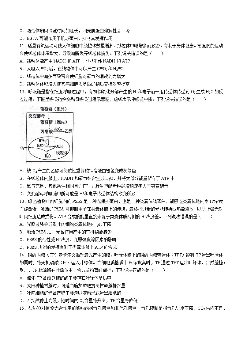 山东省烟台市2023-2024学年高二下学期7月期末生物试题(无答案)第3页