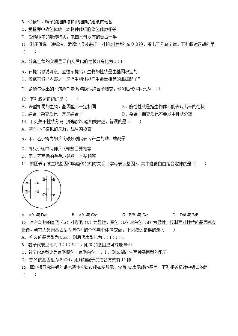 云南省曲靖市麒麟区2023—2024学年高一下学期期末考试生物试题(无答案)03