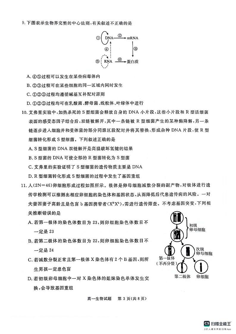 四川省眉山市2023-2024学年高一下学期期末考试生物试题第3页
