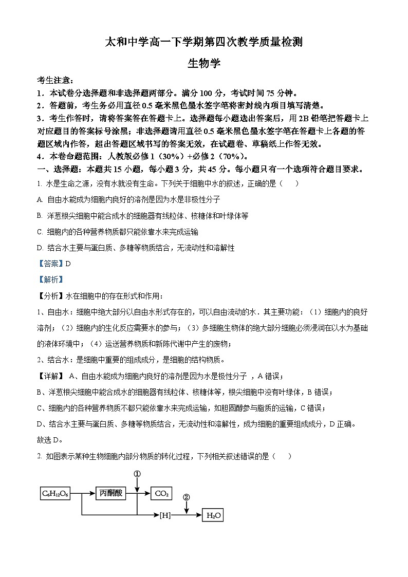 安徽省阜阳市太和中学2023-2024学年高一下学期6月期末生物试卷（Word版附解析）01