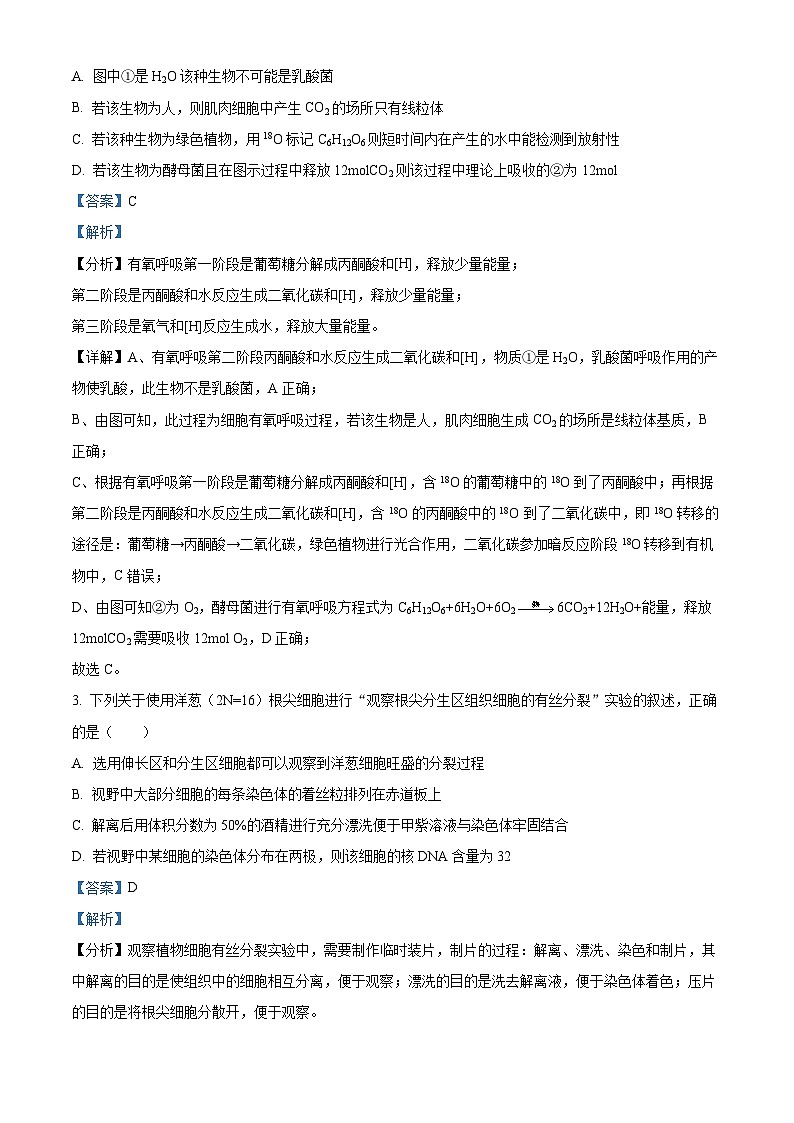 安徽省阜阳市太和中学2023-2024学年高一下学期6月期末生物试卷（Word版附解析）02