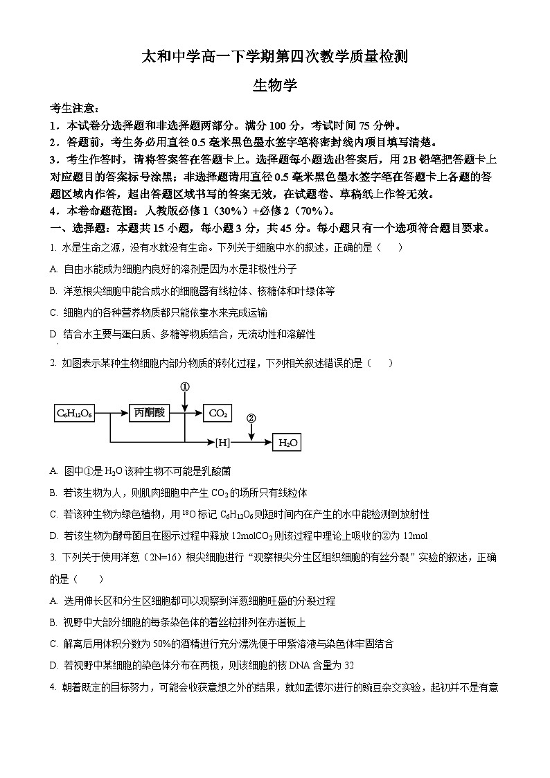 安徽省阜阳市太和中学2023-2024学年高一下学期6月期末生物试卷（Word版附解析）01
