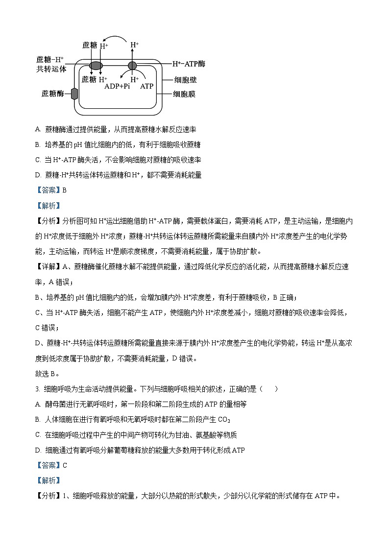 安徽省合肥市蜀山区合肥八一学校2023-2024学年高二下学期期末生物试卷（Word版附解析）02
