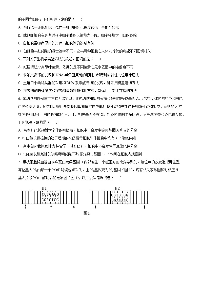 安徽省合肥市蜀山区合肥八一学校2023-2024学年高二下学期期末生物试卷（Word版附解析）02
