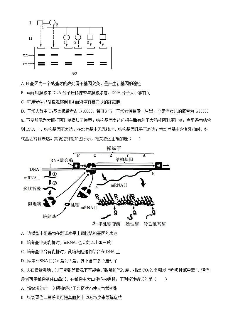 安徽省合肥市蜀山区合肥八一学校2023-2024学年高二下学期期末生物试卷（Word版附解析）03