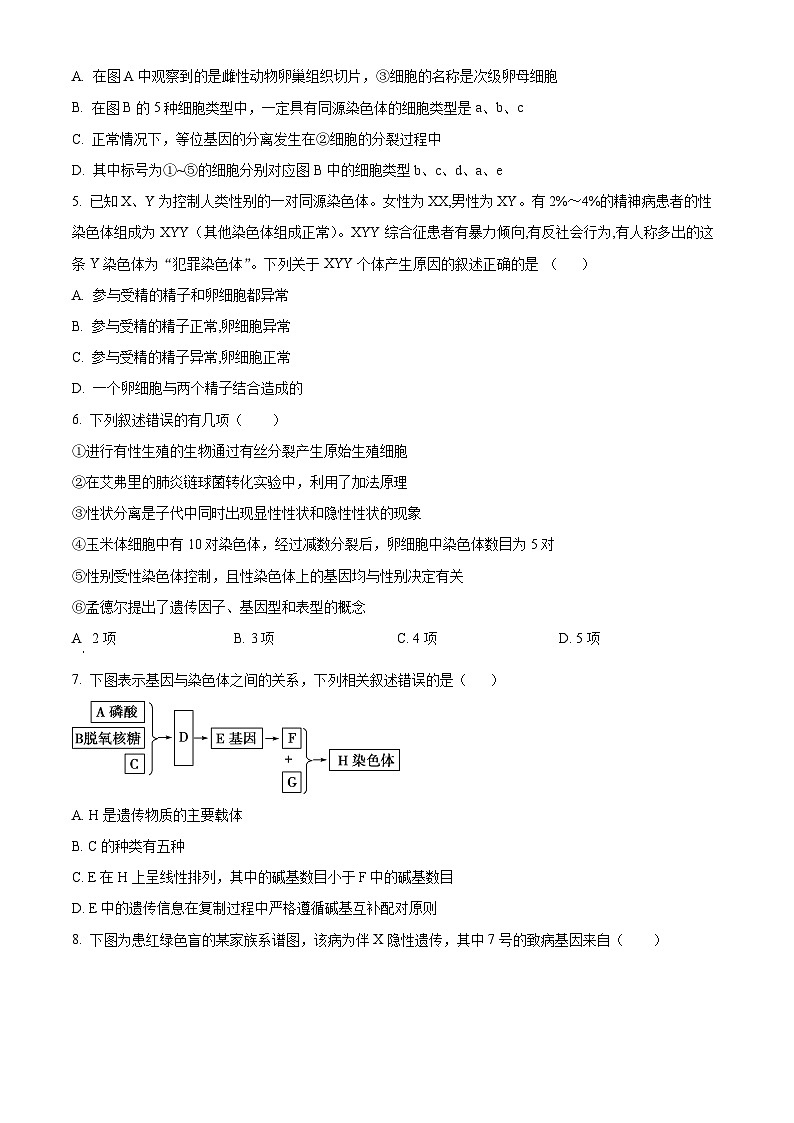 安徽省合肥市蜀山区合肥八一学校2023-2024学年高一下学期期末考试生物试卷（Word版附解析）02