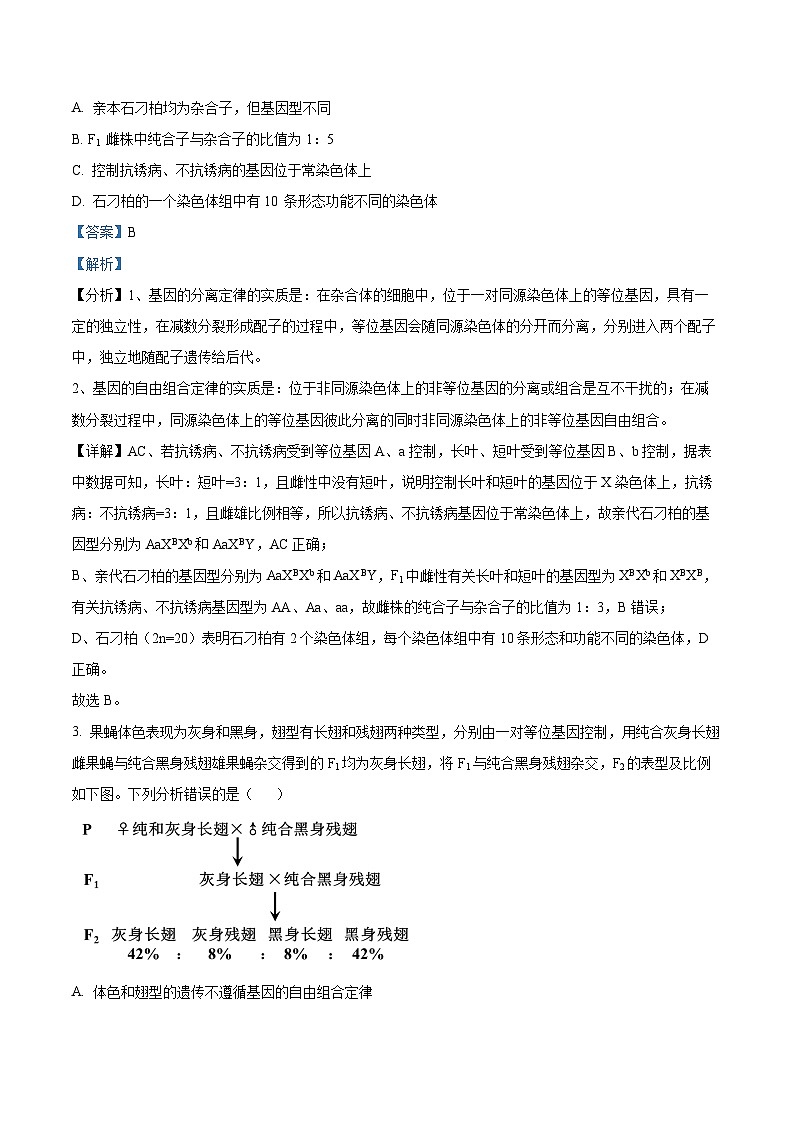 安徽省六安第一中学2023-2024学年高一下学期6月期末生物试卷（Word版附解析）02