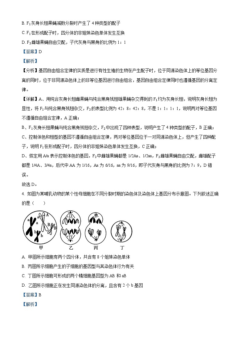 安徽省六安第一中学2023-2024学年高一下学期6月期末生物试卷（Word版附解析）03