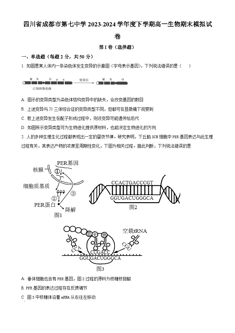 四川省成都市第七中学2023-2024学年高一下学期期末模拟生物试卷（Word版附解析）01