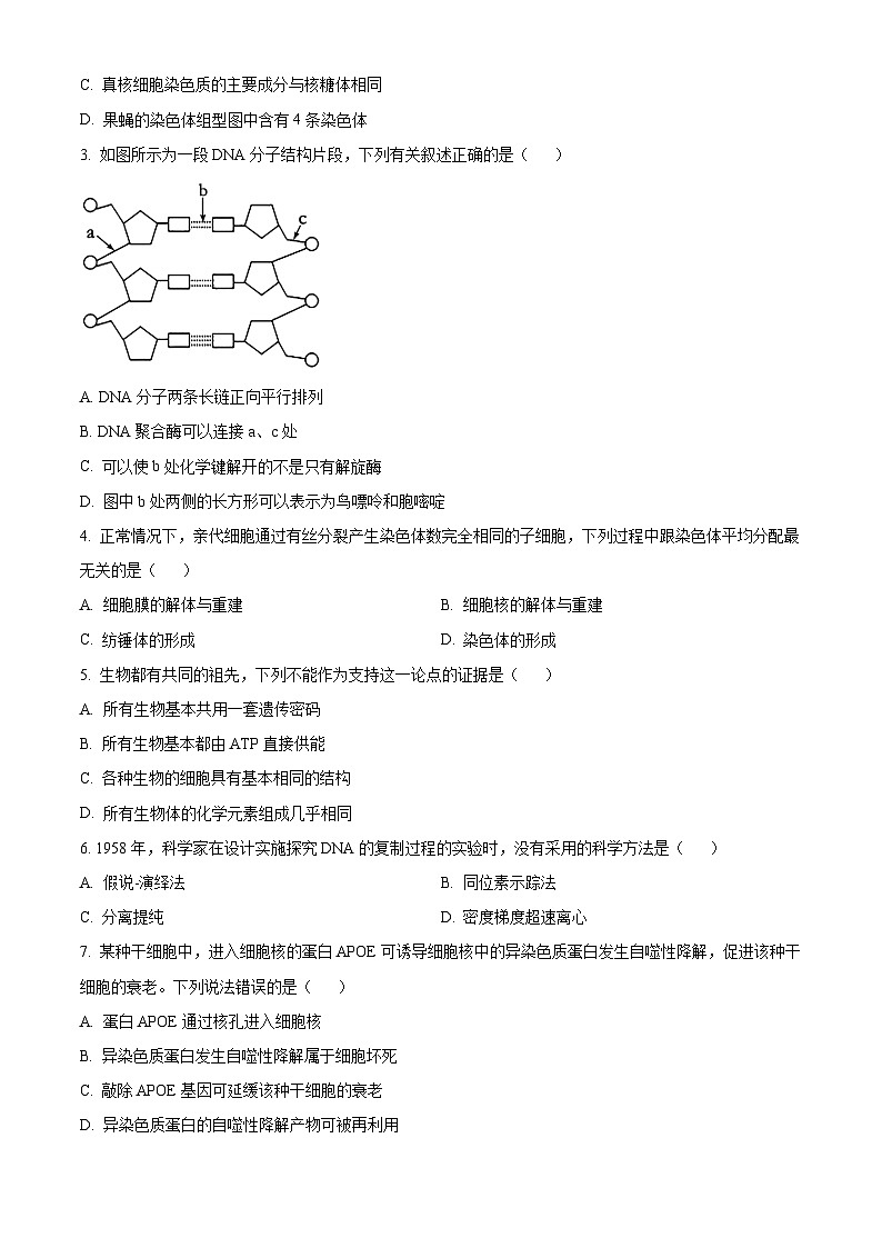 浙江省杭州市2023-2024学年高一下学期6月期末生物试题 Word版无答案第2页
