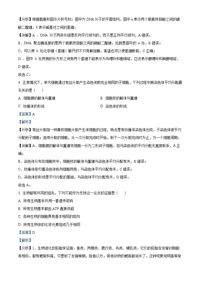 浙江省杭州市2023-2024学年高一下学期6月期末生物试题 Word版含解析第3页