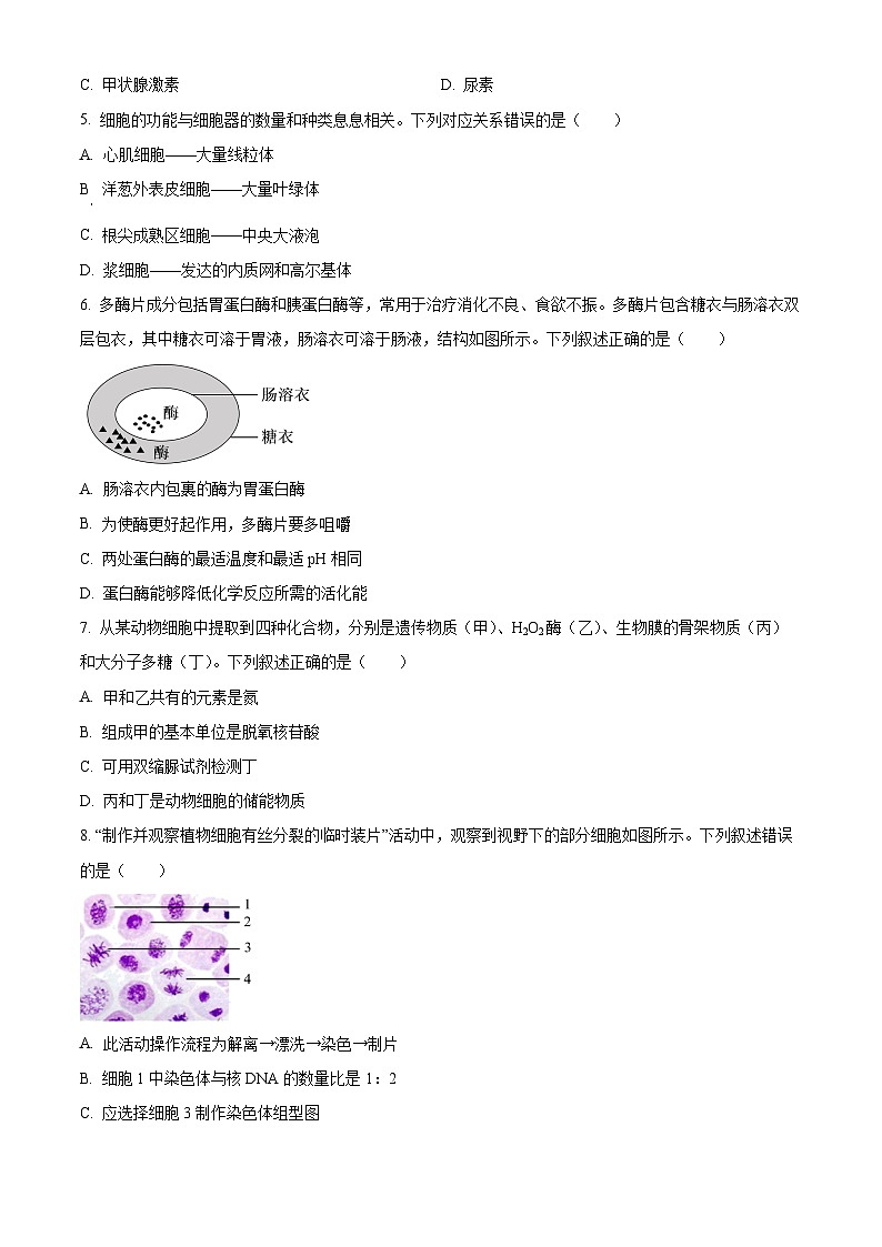 浙江省丽水市2023-2024学年高二下学期6月期末生物试卷（Word版附解析）02