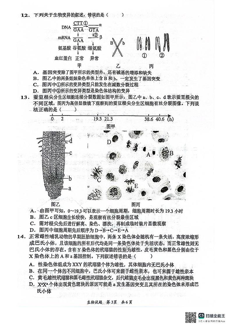 广东省惠州市2023-2024学年高一下学期7月期末生物试题03