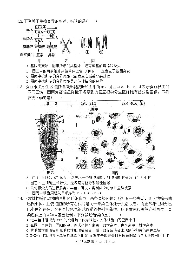 广东省惠州市2023-2024学年高一下学期7月期末生物试题03