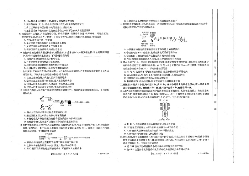 生物试卷第2页