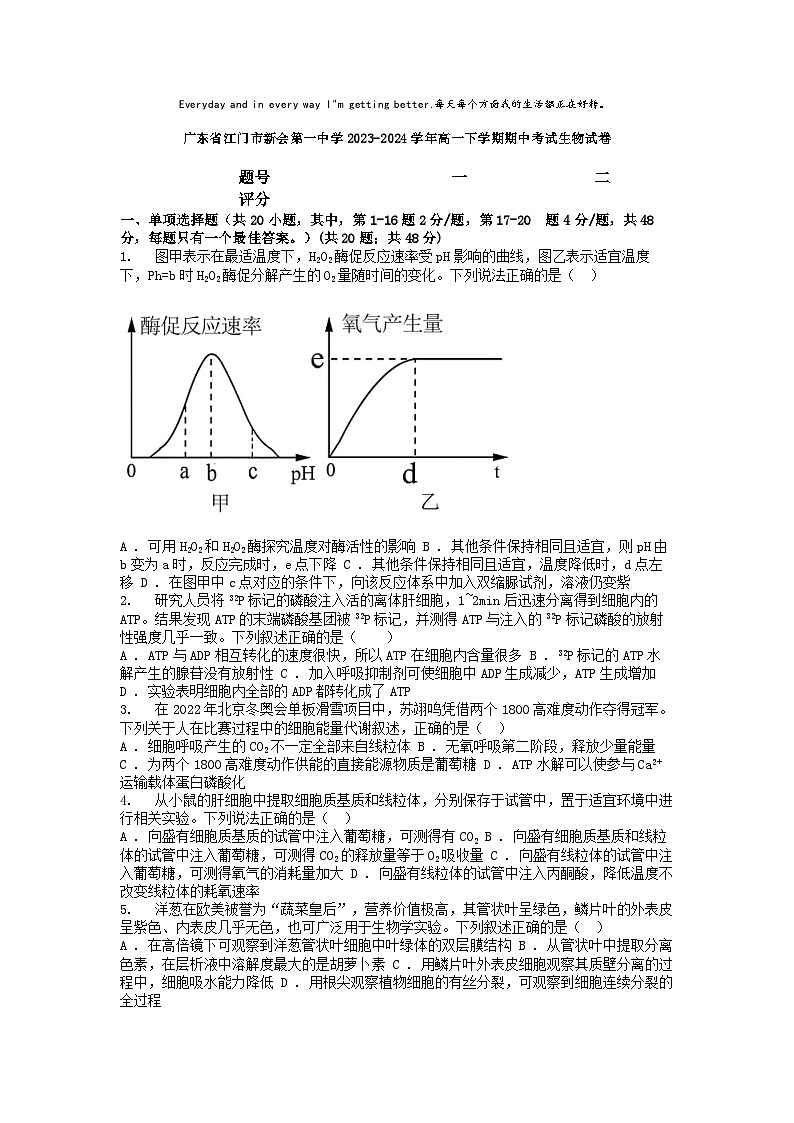 [生物][期中]广东省江门市新会第一中学2023-2024学年高一下学期期中考试生物试卷第1页