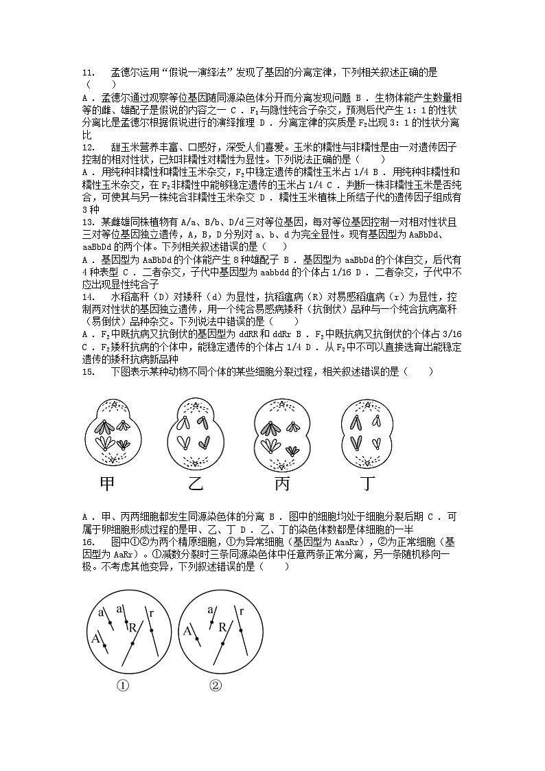 [生物][期中]广东省江门市新会第一中学2023-2024学年高一下学期期中考试生物试卷第3页