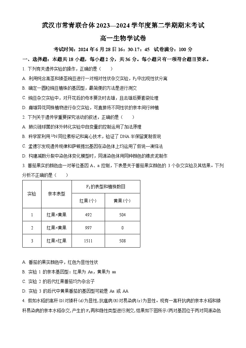 湖北省武汉市常青联合体重点中学2023-2024学年高一下学期期末联考生物试卷（Word版附解析）01
