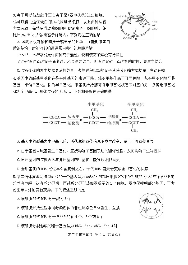 湖南省郴州市2023-2024学年高二下学期期末考试生物试题（Word版附解析）02