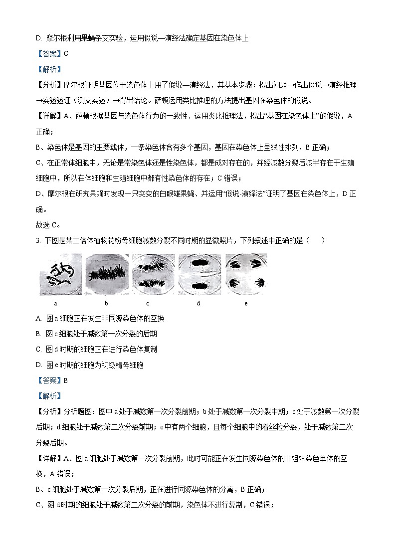 湖南省怀化市2023-2024学年高一下学期期末考试生物试题（Word版附解析）02