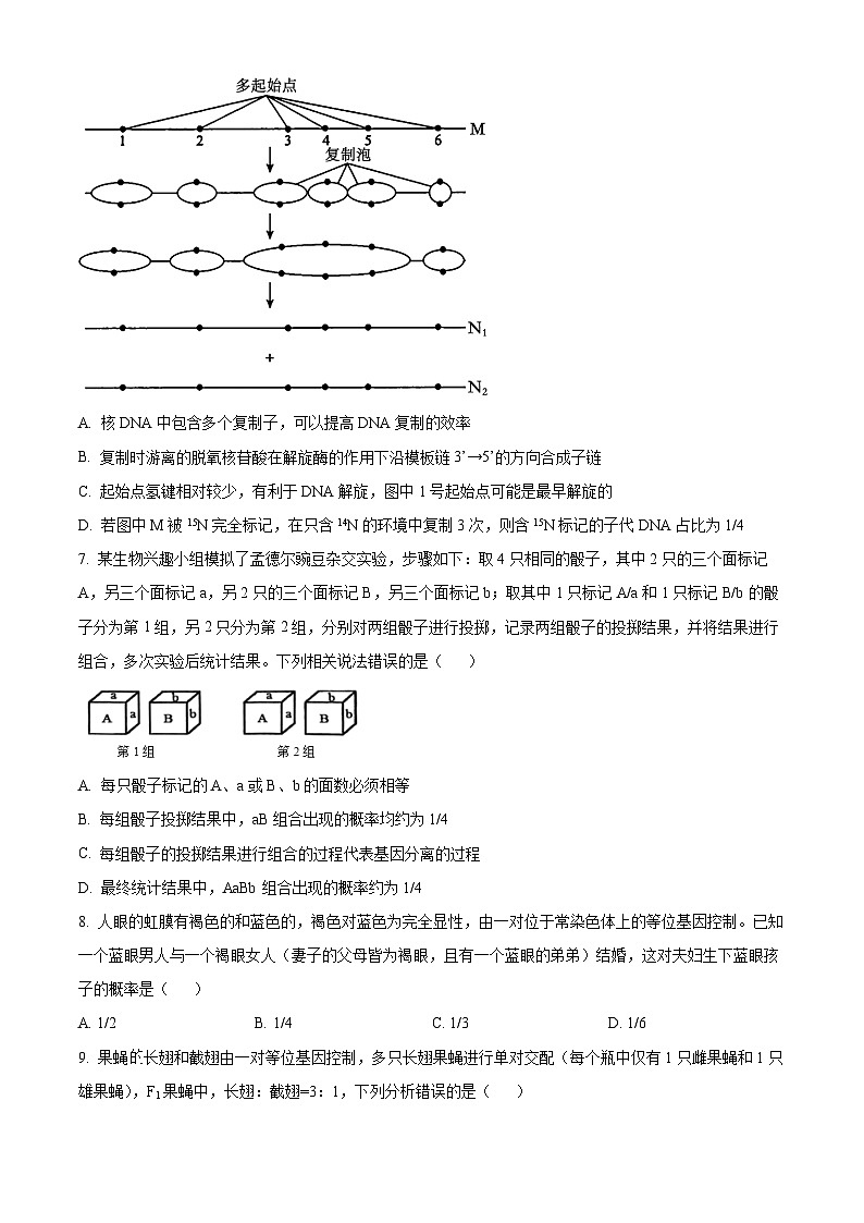 湖南省怀化市2023-2024学年高一下学期期末考试生物试题（Word版附解析）03
