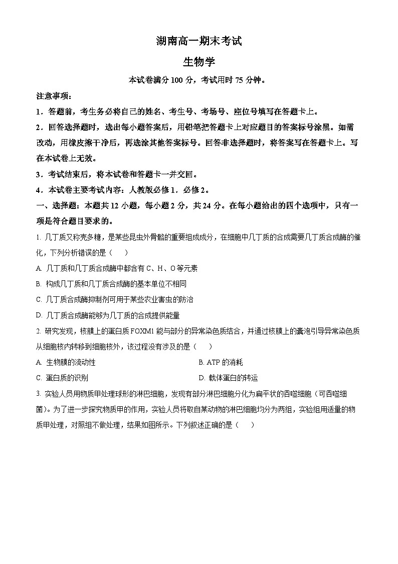 湖南省娄底市2023-2024学年高一下学期7月期末考试生物试题 Word版无答案第1页